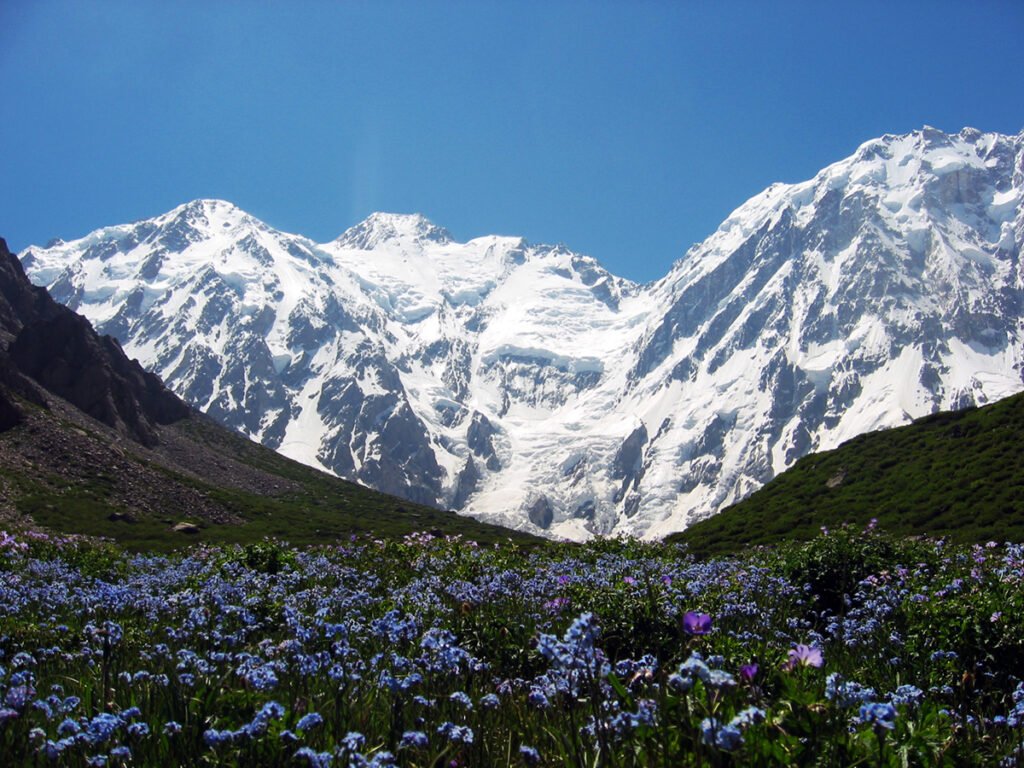 Famous trek of around Nanga Parbat