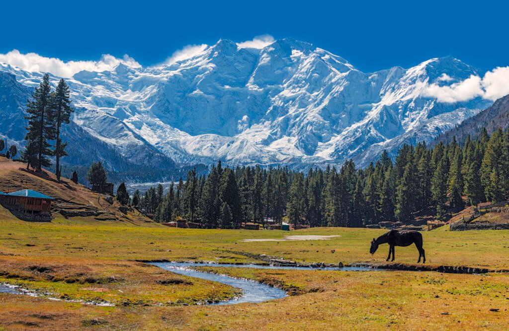 View of the killer mountain Nanga Parbat from Fairy Meadows