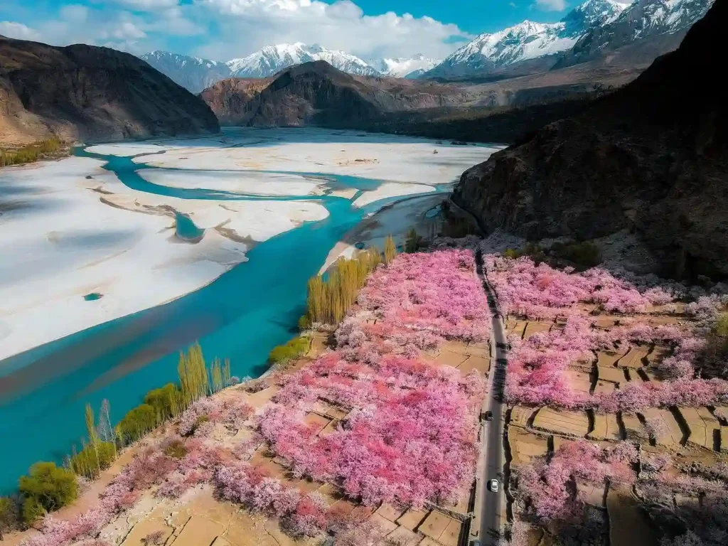 Cherry Blossom with River Ghizer