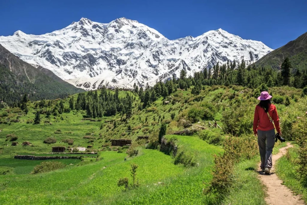 Beautiful landscape of a mountain and greenry